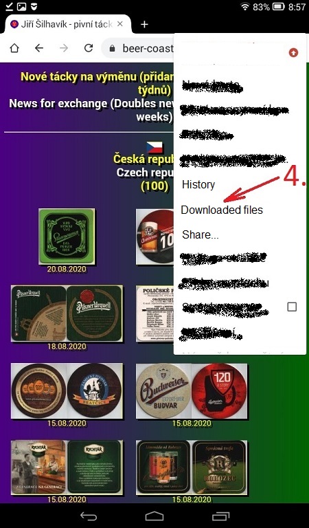 Download from website